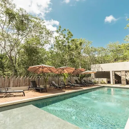 Amazing Penthouse Luxury Apartment With Concierge In Exclusive Area